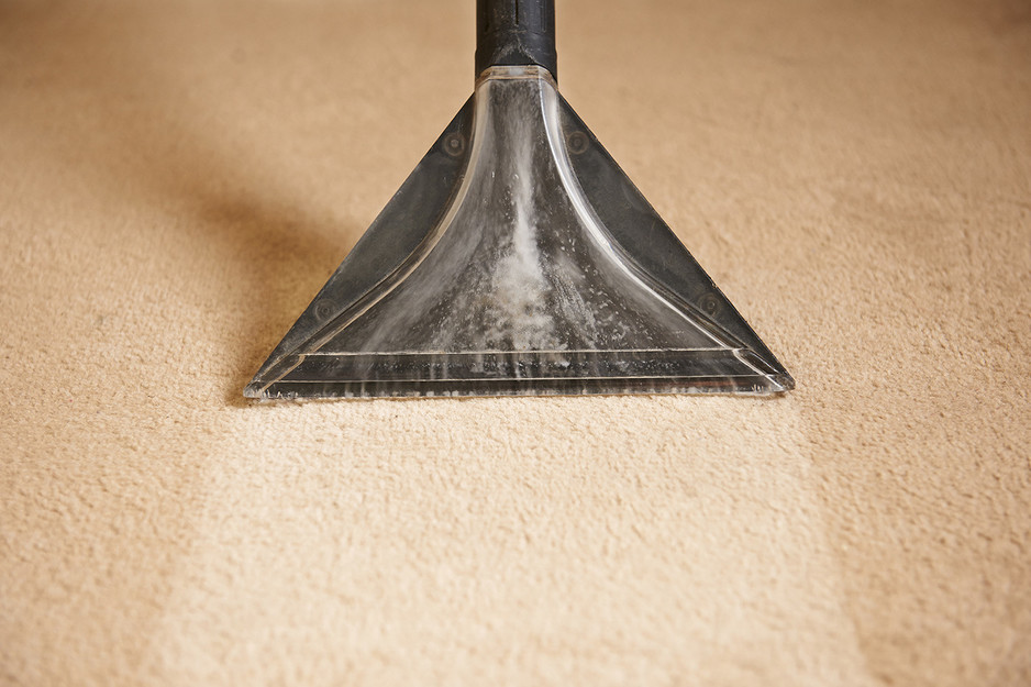 Blanch & Doyles Carpet Cleaning Pic 1