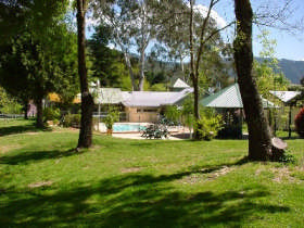 Harrietville Hotel Motel Pic 1 - Pool