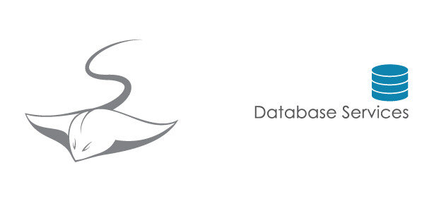 Stingrae Database Services Pic 1