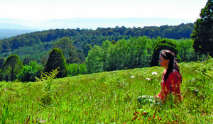 Kadampa Meditation Centre Australia Pic 3