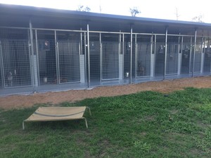 Chinchilla Boarding Kennels Pic 2