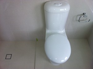 Sydney's Plumbing Specialists Pic 3 - Toilet installation and repairs