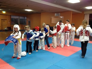 Ilyo Taekwondo Tilba Pic 2