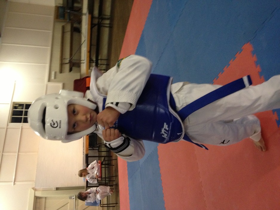 Ilyo Taekwondo Tilba Pic 1