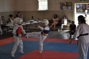 Ilyo Taekwondo Tilba Pic 4