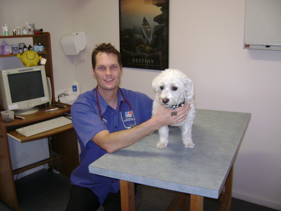 Cape Hawke Veterinary Hospital Pic 1