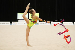 Shire Rhythmic Gymnastics Pic 2