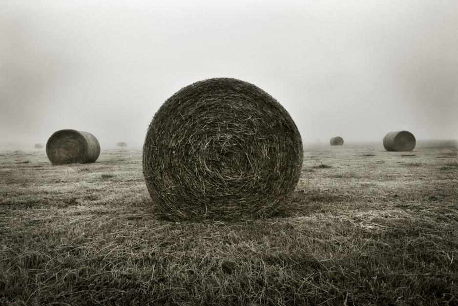 Lume Creative Photography Pic 1 - haystacks