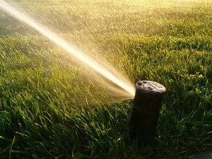 Matt's Garden Maintenance Pic 4 - Reticulation installation and repairs