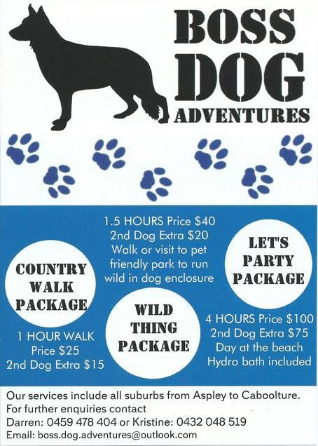 Boss Dog Adventures Pic 1 - Our packages start from 2500