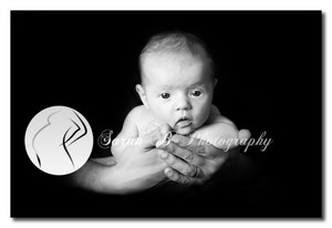 Sarah B Photography Pic 3 - SARAH B PHOTOGRAPHY Brisbane Bayside Thornlands Newborn Portrait Photographer