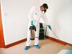 Soft Touch Carpet Cleaning Pic 2 - CarinaQldbrisbanecarpetcleaning1