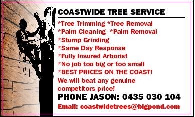 Coastwide Tree Service Pic 1 - Tree trimming tree removalspalm cleaningpalm removalsstump grinding