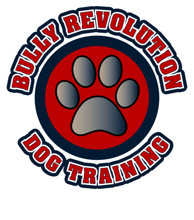 The Bully Revolution Pic 1