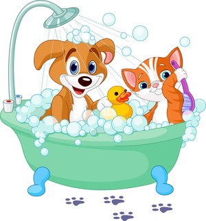 All Sorts Dog Wash Pic 2