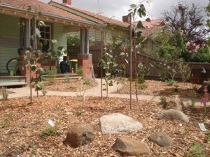 Beddison Garden Designs Pic 2 - Australian Native Garden