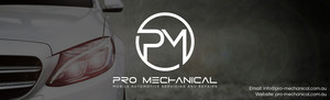 Pro Mechanical Pic 2