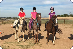 Alba View  Equestrian Pic 5 - Alba View Equestrian Group Riding Lessons