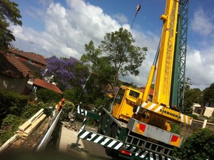 Sydney City Tree Management Pic 4