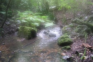 Twin Falls Nature Retreat Pic 2 - The Top Falls Creek