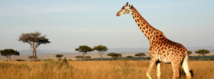 Sally Johnson - Travel Counsellor Pic 3 - Africa