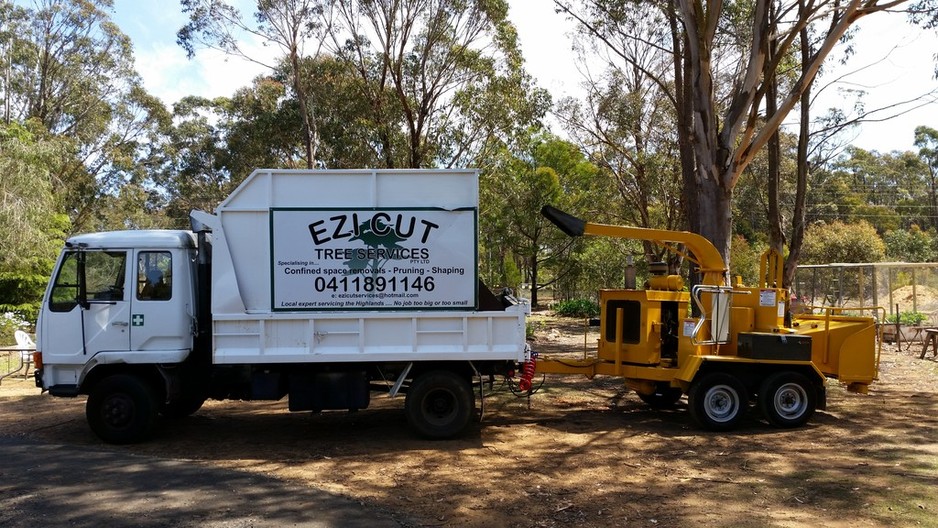 Ezi Cut Tree Services Pic 1 - Ezi Cut Tree Services Pty Ltd