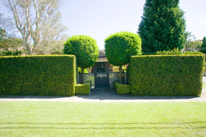 Lawns, Hedges and Small trees Pic 3