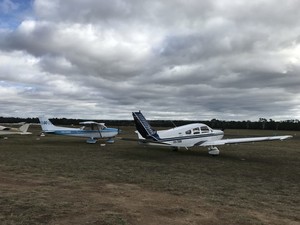 Phoenix Aero Club and Flying School Pic 3 - Phoenix Aero Club apron with club aircraft