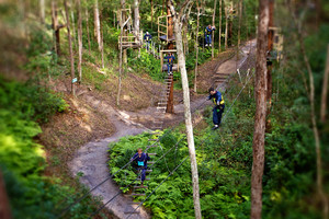 Treetop Challenge Pic 2