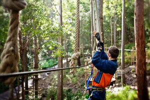 Treetop Challenge Pic 5