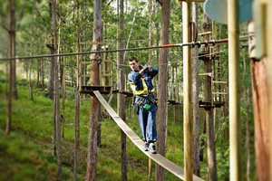 Treetop Challenge Pic 4