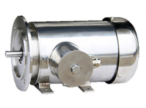 Stallion Stainless Steel Electric Motors Pic 4