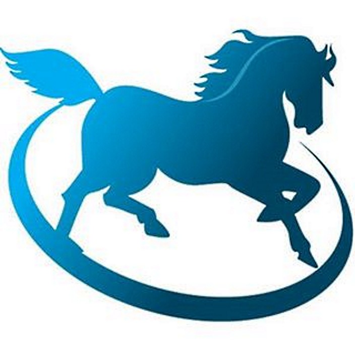 Leal Technology - IT Support Darwin Pic 1 - Leal Technology IT Support Darwin logo horse