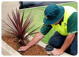 Jim's Mowing Lane Cove Pic 3