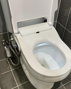 Resolved Plumbing Pic 5 - Bidet toilet seat installed with backflow prevention devices