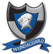 Wundaguard Pic 1