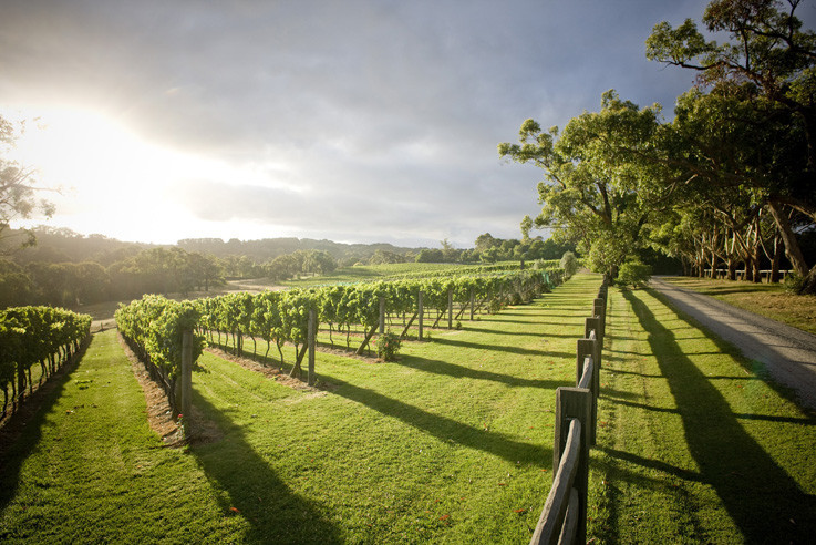 Mornington Peninsula Plunge Tours Pic 2 - Plunge takes guests beyond the cellar door to experience the Mornington Peninsula in all its glory