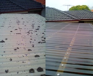 Melbourne Gutter & Concrete Cleaning Pic 2