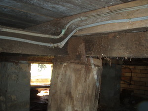 Maryborough Hervey Bay Building & Pest Inspections Pic 3 - Inadequate ant capping