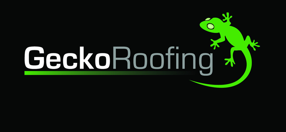 Gecko Roofing Pic 1