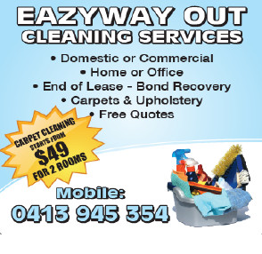 Eazyway Out Cleaning Services Pic 1