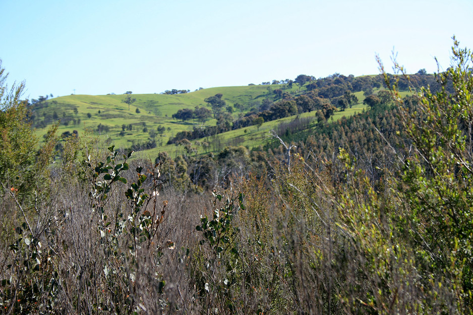 Acacia Ridge Pic 1 - Broadford views