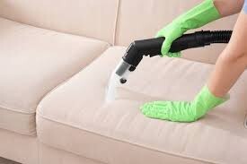 Fresh Upholstery Cleaning Pic 4