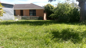 Harwood's Lawn Care Pic 2 - Before