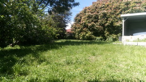 Harwood's Lawn Care Pic 3 - Before