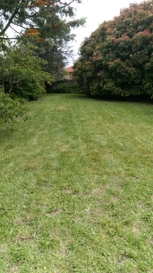 Harwood's Lawn Care Pic 4 - After