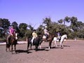 Tranquil Park Stables Horse Management & Riding Centre Pic 1 - TRANQUIL PARK STABLES