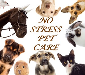 No Stress Pet Care Pic 3