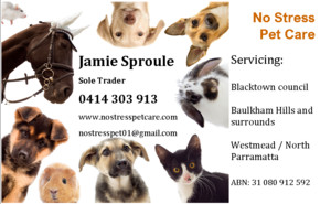 No Stress Pet Care Pic 4