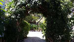 Real Estate For Sale Tamborine Mountain
